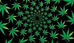 Cannabis Universe 3'X5' Flag ROUGH TEX® 68D