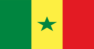 Senegal 3'X5' Flag ROUGH TEX® 68D