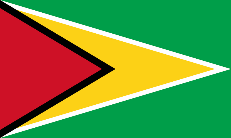 Guyana 3'X5' Flag ROUGH TEX® 68D