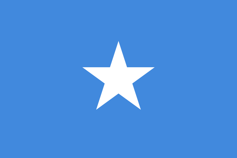 Somalia 3'X5' Flag ROUGH TEX® 68D