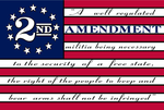 2nd Amendment USA 3'x5' Flag ROUGH TEX® 68D Nylon