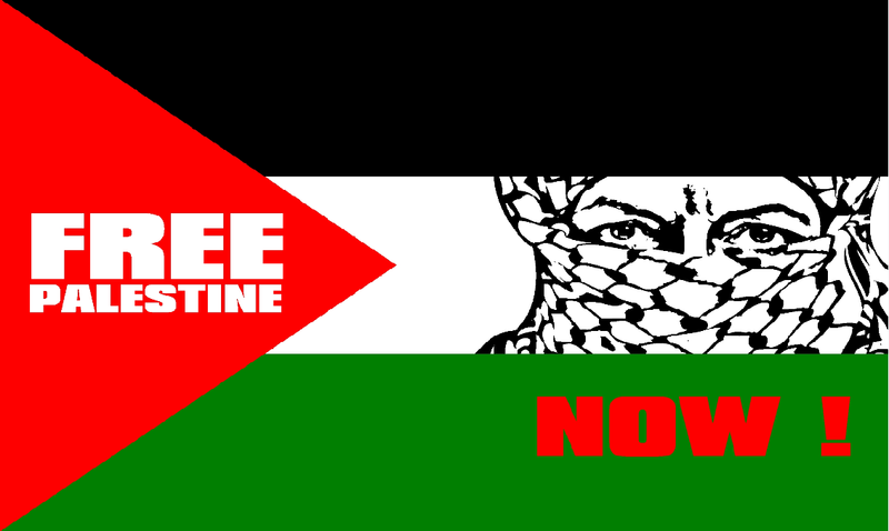 Free Palestine Now 3'x5' Nylon Flag ROUGH TEX® 68D