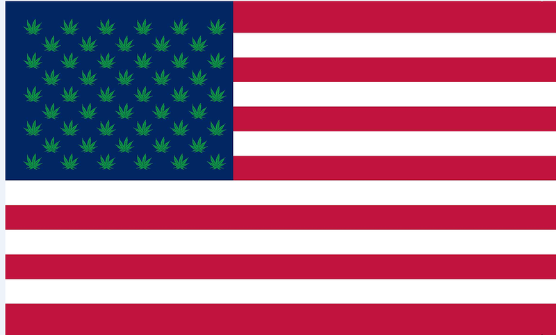 USA Cannabis Stars 3'x5' Flag ROUGH TEX® 68D Nylon