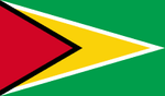 Guyana 3'X5' Flag ROUGH TEX® 68D