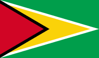 Guyana 3'X5' Flag ROUGH TEX® 68D