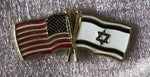 USA & Israel Friendship Wavy Lapel Pin