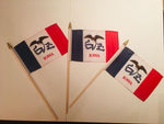 6x9 inch sewn edge classroom US State American flags & USA (144 6"x9" Stick FLAGS PER STATE) 50 UNITED STATES FLAGS 6"X9" WOODEN STAFF STATE FLAG COLLECTION 15" wood staff soft point gold wood spears