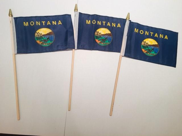 6x9 inch sewn edge classroom US State American flags & USA (12 6"x9" FLAGS PER STATE) 50 UNITED STATES FLAGS 6"X9" WOODEN STAFF STATE FLAG COLLECTION 15" wood staff soft point gold wood spears