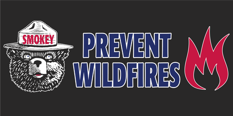 Smokey Bear Prevent Wildfires  - Bumper Sticker