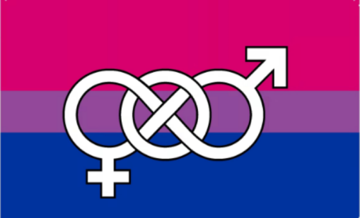 Bisexual Symbolism 3'X5' Flag ROUGH TEX® 68D