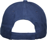 Don't Mess With Texas Blue Cap