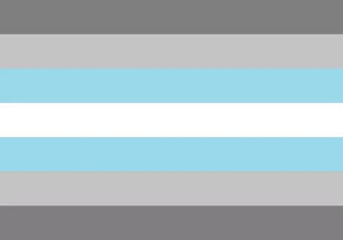 Demi Boy 3'X5' Flag ROUGH TEX® 68D