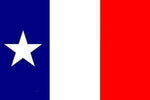 Texas Dodson 3'X5' Flag ROUGH TEX® 150D Nylon