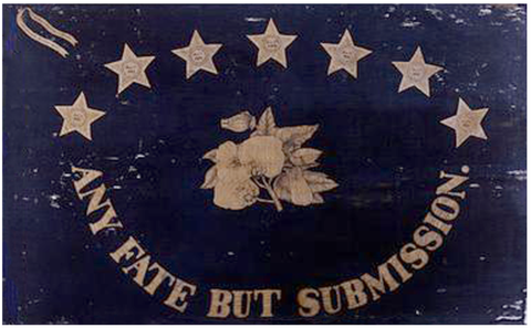 St. Augustine Blues Florida Any Fate But Submission 3'X5' Flag ROUGH TEX® 100D