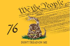 Gadsden Live We The People 3'X5' Flag ROUGH TEX® 100D DBL Sided