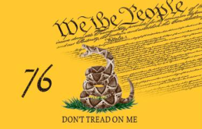 Gadsden (We The People) 3'X5' Flag ROUGH TEX® 100D