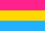 Pansexual Pride 3'x5' Rough Tex ® 100D Flags