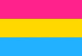 Pansexual Pride 3'x5' Rough Tex ® 100D Flags