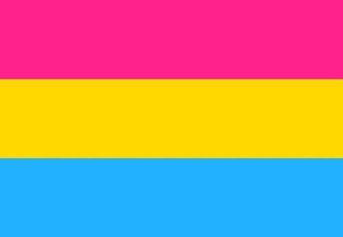 Pansexual Pride 3'x5' Rough Tex ® 100D Flags