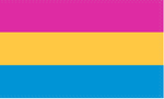 Pansexual Pride 4'x6' Flag ROUGH TEX® 68D