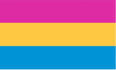 Pansexual Pride 4'x6' Flag ROUGH TEX® 68D