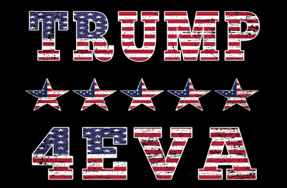 Trump 4EVA Double Sided 3'X5' Rough Tex® 100D