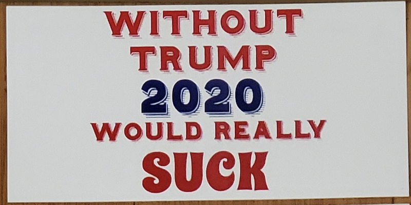 Without Trump 2020 Would Really Suck - Bumper Sticker