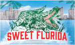 Sweet Florida 3'X5' Flag ROUGH TEX® 100D