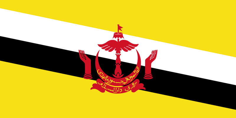 Brunei Flag 100D Rough Tex® (Multiple Sizes)