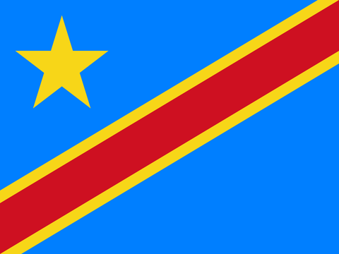 Democratic Republic of the Congo Flag 100D Rough Tex® (Multiple Sizes)