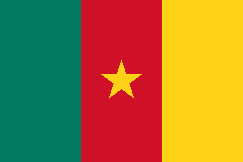 Cameroon Flag 100D Rough Tex® (Multiple Sizes)