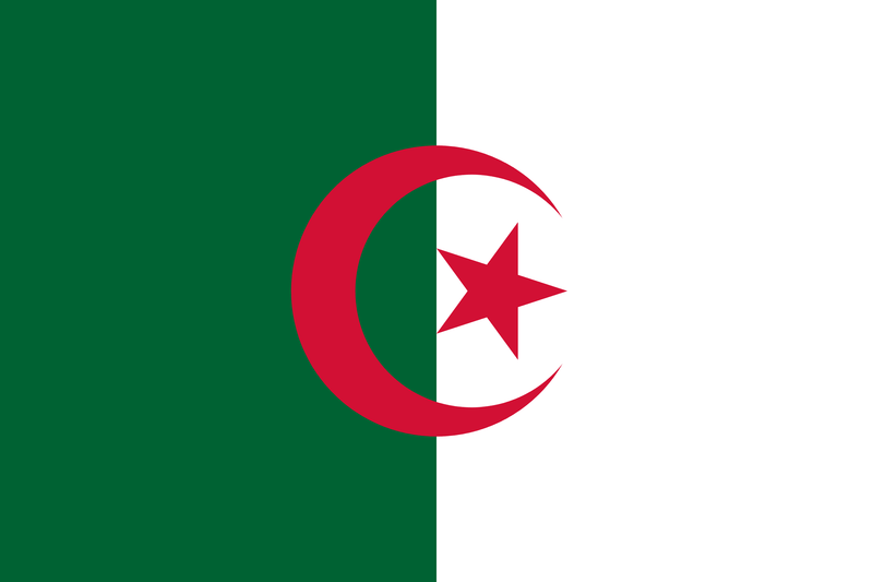 Algeria 100D Rough Tex® (Multiple Sizes)