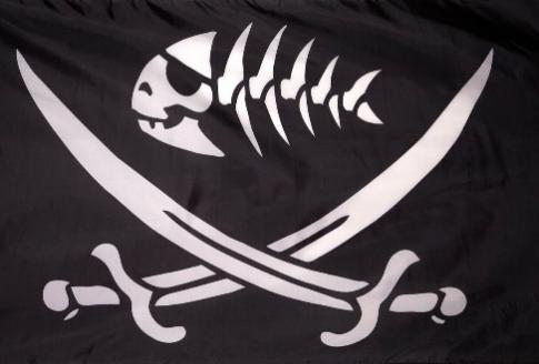 Fish Bones Pirate 3'X5' Flag ROUGH TEX® 100D