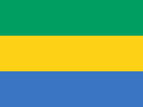 Gabon Flag 100D Rough Tex® (Multiple Sizes)