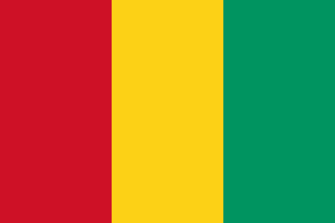 Guinea Flag 100D Rough Tex® (Multiple Sizes)