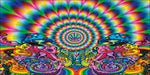 Magic Mushroom Holographic Psychedelic Chrome 2.5"x3" Bumper Sticker