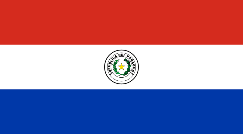 Paraguay Flag 100D Rough Tex® (Multiple Sizes)
