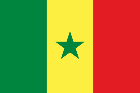 Senegal Flag 100D Rough Tex® (Multiple Sizes)