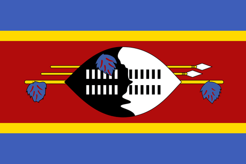 eSwatini Flag 100D Rough Tex® (Multiple Sizes)