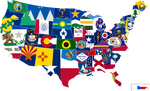 (144 PER STATE) 50 UNITED STATES FLAGS 4"X6" WITH 10" STAFF STATE FLAG COLLECTION