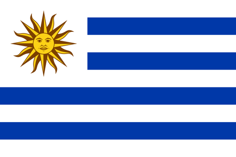 Uruguay Flag 100D Rough Tex® (Multiple Sizes)